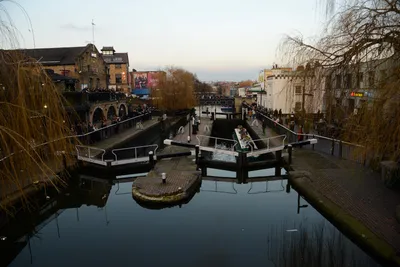 DSC_1421 (Large).JPG